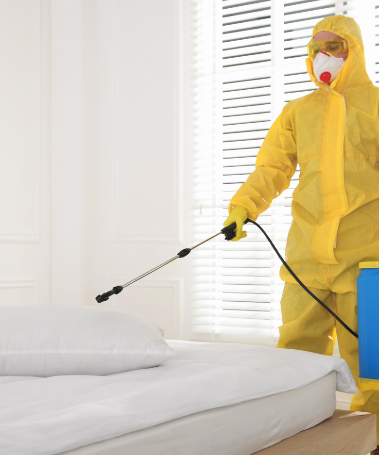 Professional Pest Control Team in Burton